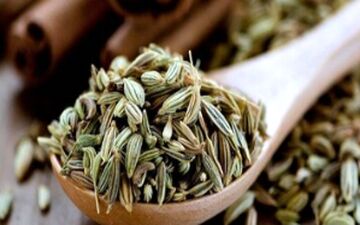 از آشپزخانه تا داروخانه؛ رازیانه، گیاه معجزه‌گر

