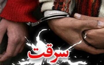 جزییات تازه از سرقت خودروهای شاسی بلند با همدستی دو برادر