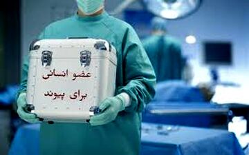 بساط دلال گری اعضای بدن افراد زنده در کشور جمع شد