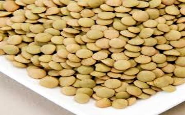 عدس و چای سبز: دو سلاح ضدآرتریت