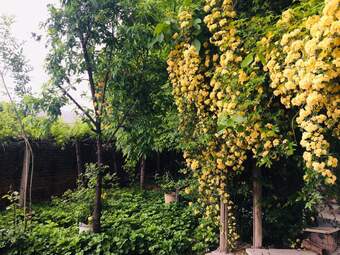 اقامتگاه بوم‌گردی سرماج دارای ظرفیت‌های بالای گردشگری در ابعاد تاریخی، طبیعی و فرهنگی 