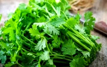 با این سبزی خوشمزه کم خونی تان را درمان کنید