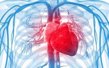 بزرگ شدن قلب| علائم  و عوارض بزرگ شدن قلب چیست؟