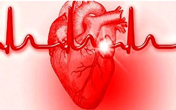 از دومین عضو حیاتی بدن چگونه مراقبت کنیم؟ + فیلم