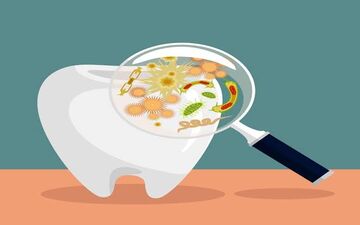 میکروب دندان چه تاثیری بر بدن می گذارد؟