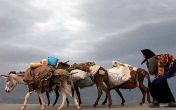 آغاز کوچ بهاره عشایر استان کرمانشاه