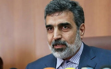 کمالوندی: تا دو سال آینده از متخصصین روس بی نیاز می‌شویم

