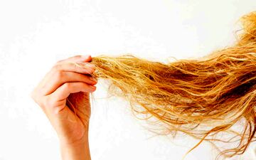 به داد موهای دکلره شده تان برسید