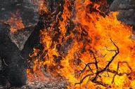 استاندار مازندران: هواپیما ایلوشن و ۶ بالگرد برای مهار آتش‌سوزی جنگل الیت آماده شد