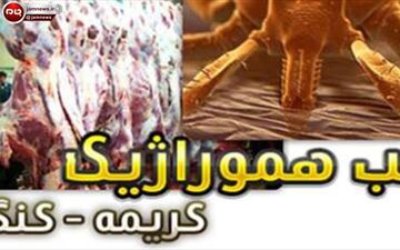 بستری شدن ۲ دامدار مشکوک به تب کریمه در نوشهر