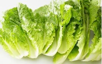 مقابله با سرطان با خوردن کاهو