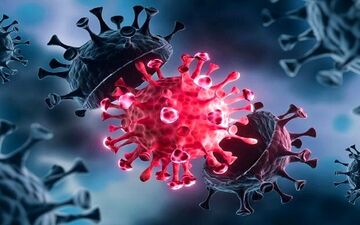 تنها راهکار علمی برای تقویت سیستم ایمنی در کرونا چیست؟