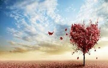 وجیهه 19 سال است که رنگ جشن عروسی و میهمانی را ندیده