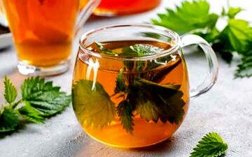 چای و دمنوش گزنه، درمان طبیعی و چند منظوره برای سنگ کلیه و سلامتی