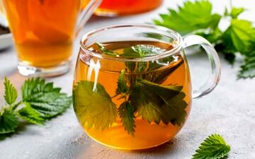 چای و دمنوش گزنه، درمان طبیعی و چند منظوره برای سنگ کلیه و سلامتی