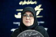 توضیح سخنگوی دولت درباره سفر عراقچی به پاکستان، عمان و روسیه