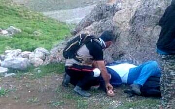 بر اثر ایست قلبی طبیعت گرد سی سخت درگذشت