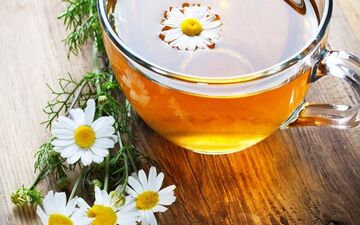 برای رفع تکرر ادرار، این دمنوش‌ها را بنوشید