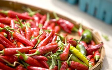 آنچه باید درباره فلفل و غذاهای تند بدانید