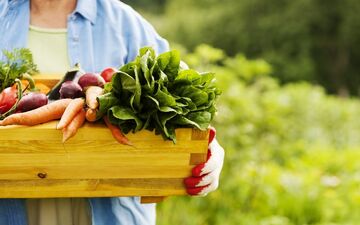  چه محصولاتی ارگانیک هستند؟