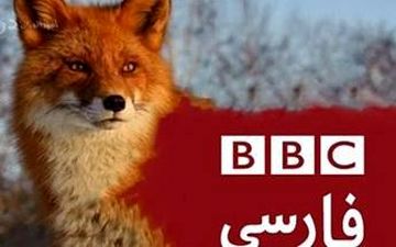 مچ‌گیری کارشناس بی‌بی‌سی، دروغ مجری این شبکه را لو داد +فیلم 