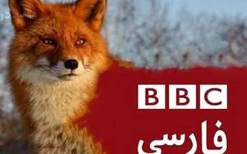 مچ‌گیری کارشناس بی‌بی‌سی، دروغ مجری این شبکه را لو داد +فیلم 