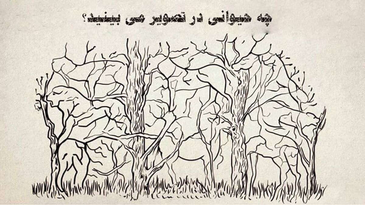 در تصویر چه حیوانی را اول می‌بینی؟ بگو تا زوایای شخصیتی خودت را بهت بگم!