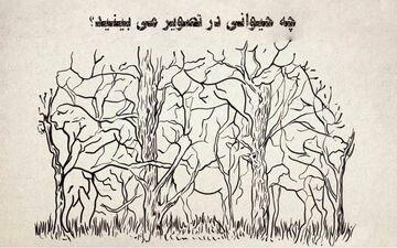 در تصویر چه حیوانی را اول می‌بینید؟بگو تا زوایای شخصیتی خودت را بهت بگم!