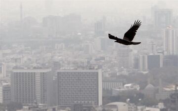 افزایش نرخ اجاره‌بها در تهران