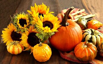 ۷ گزینه غذایی سالم برای افزایش پلاکت های خون