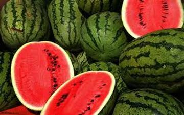 آشنایی با خواص فوق العاده هندوانه برای سلامتی 