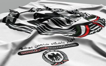 شاهین بوشهر به دسته اول سقوط کرد