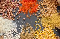 ۷ دلیل پزشکان برای گنجاندن حبوبات در رژیم غذایی روزانه