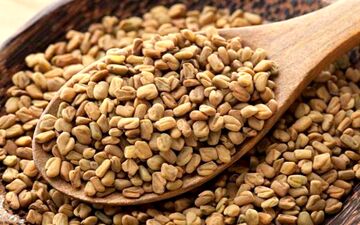 دیابتی ها شنبلیله بخورند