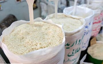قیمت روز برنج ایرانی و هندی | نرخ بازار امروز 2 شهریور 1404
