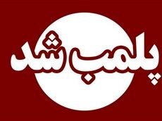 پلمب کافه جنجالی در ولی‌عصر؛ جزئیات اعلام‌شده از سوی پلیس