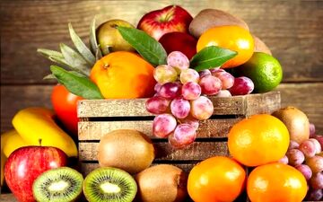 
اعلام قیمت انواع میوه/ انار کیلویی چند؟
