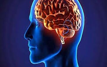«مغز» را با این روش صحیح و سلامت نگه دارید
