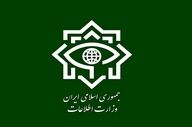 وزارت اطلاعات: دو هسته‌ی تروریستی وابسته به موساد، متلاشی شد