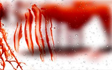 نجات نوجوان قاتل از مرگ در آخرین محاکمه