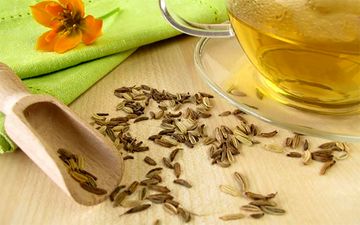 گیاه رازیانه؛ معجزه طبیعت