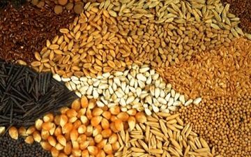 نرخ جدید نهاده‌های دامی و محصولات کشاورزی + جدول