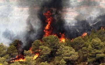  جنگل‌های گرگان دچار حریق شد+ جزئیات 