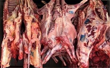 مدیرکل دامپزشکی آذربایجان شرقی: گوشت قرمز بدون مهر دامپزشکی نخرید