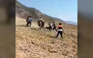  فیلمی از حمله خرس وحشی به اهالی روستایی در گلستان