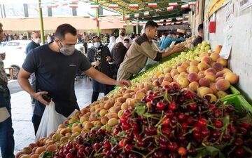 تازه‌ترین قیمت‌ انواع میوه در میادین میوه و تره بار اعلام شد