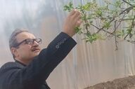 آغاز طرح ملی ایجاد پایلوت‌های الگویی باغبانی در کشور