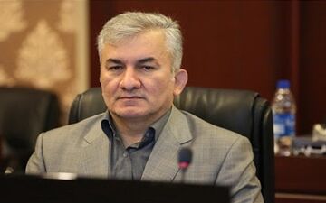معاون سازمان امورمالیاتی از تمدید یک ماهه فرصت ارسال اظهارنامه مالیاتی خبر داد