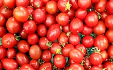 تست بینایی/  گیلاس رو در تصویر پیا کن  تاقدرت بینایی خودت رو محک بزنی!