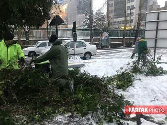 برف در تهران